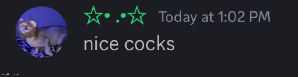 nice cocks | image tagged in nice cocks | made w/ Imgflip meme maker