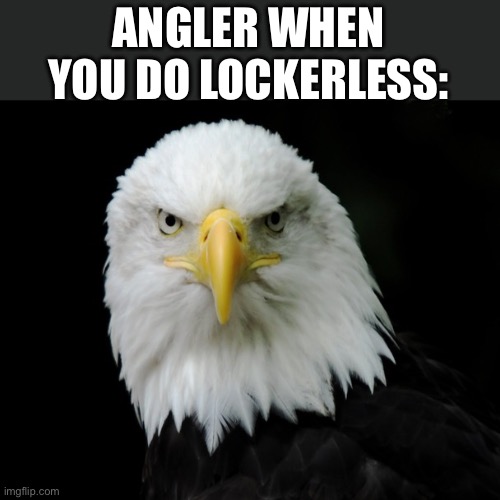 Eagles Eye | ANGLER WHEN YOU DO LOCKERLESS: | image tagged in eagles eye | made w/ Imgflip meme maker