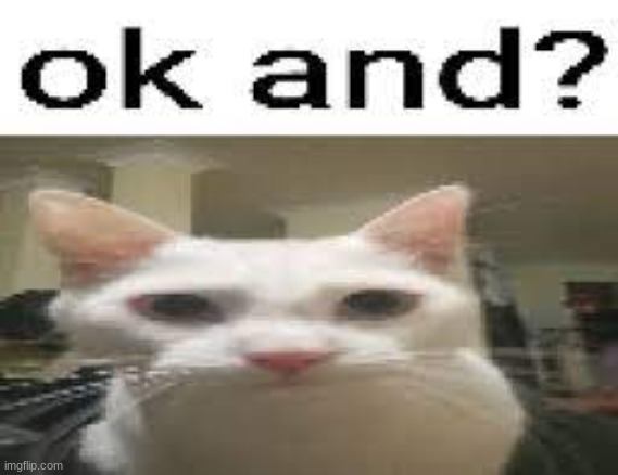 ok and | image tagged in ok and | made w/ Imgflip meme maker