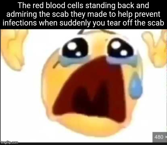 screaming meme emoji | The red blood cells standing back and admiring the scab they made to help prevent infections when suddenly you tear off the scab | image tagged in screaming meme emoji | made w/ Imgflip meme maker