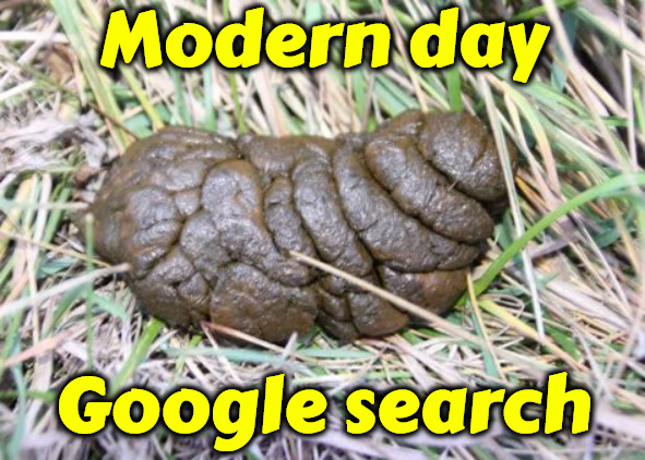 Google Search | Modern day; Google search | image tagged in google search,google images,google,artificial intelligence,dog poop,useless things | made w/ Imgflip meme maker