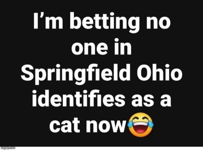 I'm taking bets no one in Springfield, Ohio identifies as a cat now! | image tagged in cats,springfield ohio,haiti,gender identity,gender confusion,haitian cuisine | made w/ Imgflip meme maker