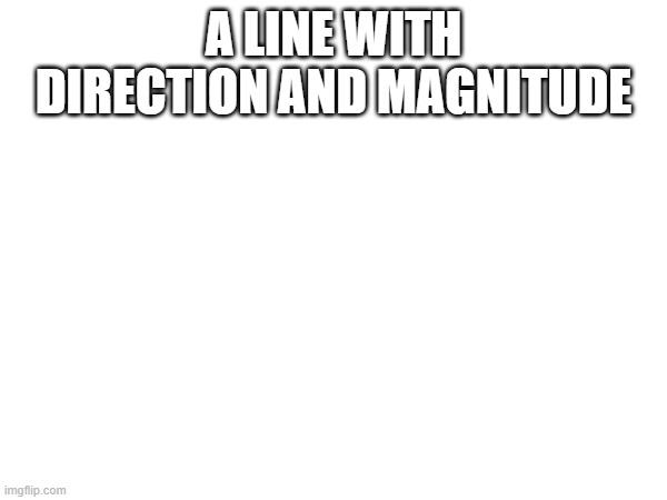 A LINE WITH DIRECTION AND MAGNITUDE | made w/ Imgflip meme maker