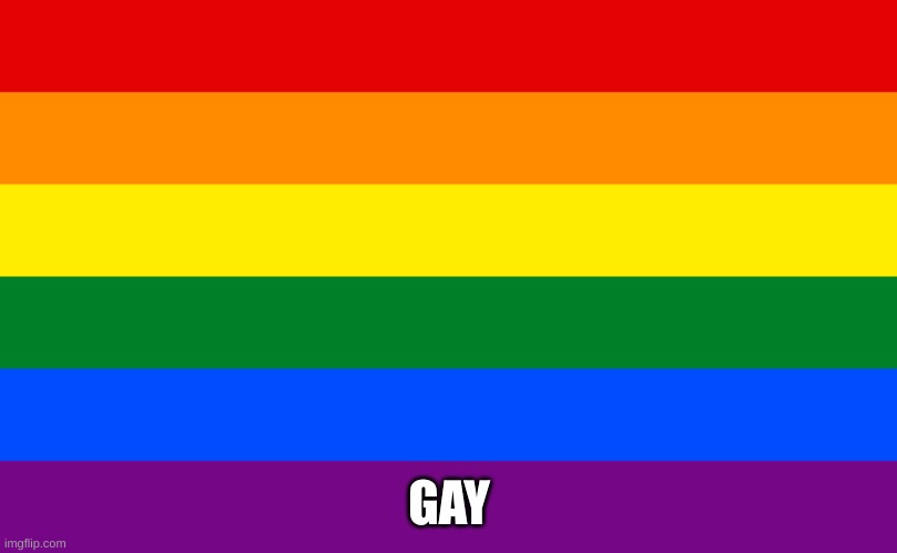 Pride flag | GAY | image tagged in pride flag | made w/ Imgflip meme maker