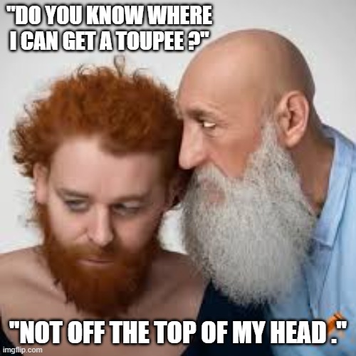 memes by Brad - Do you know where I can buy a toupee? - humor | "DO YOU KNOW WHERE I CAN GET A TOUPEE ?"; "NOT OFF THE TOP OF MY HEAD ." | image tagged in funny,fun,hair,funny meme,humor,bald | made w/ Imgflip meme maker