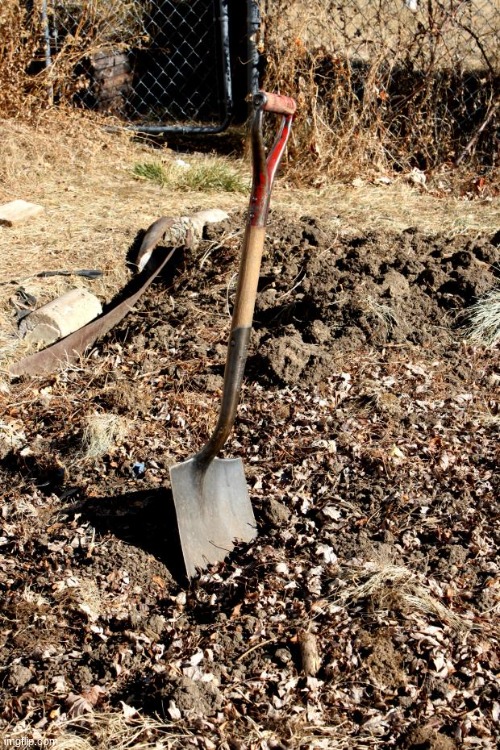 Shovel Dirt | image tagged in shovel dirt | made w/ Imgflip meme maker