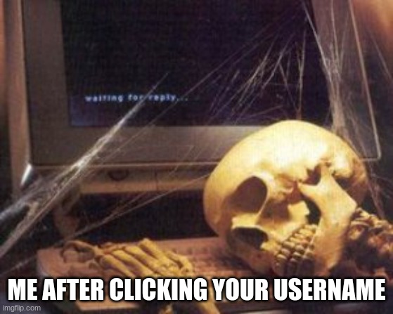 skeleton computer | ME AFTER CLICKING YOUR USERNAME | image tagged in skeleton computer | made w/ Imgflip meme maker