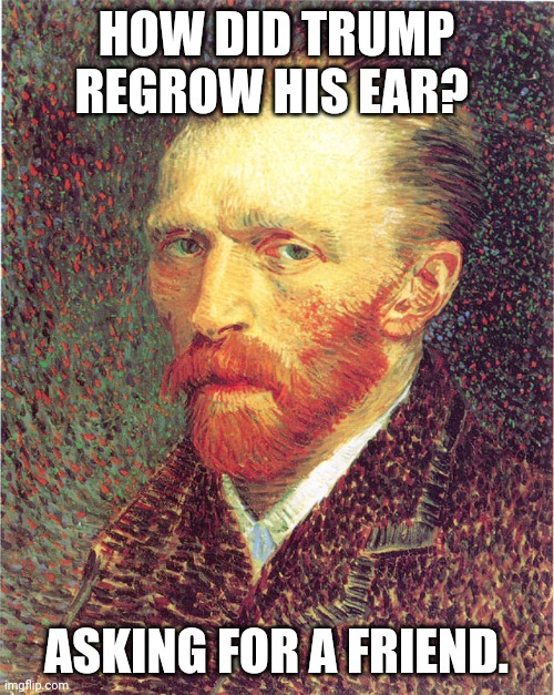 Vincent Van Gogh | HOW DID TRUMP REGROW HIS EAR? ASKING FOR A FRIEND. | image tagged in vincent van gogh | made w/ Imgflip meme maker