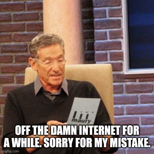 Maury Lie Detector | OFF THE DAMN INTERNET FOR A WHILE. SORRY FOR MY MISTAKE. | image tagged in memes,maury lie detector | made w/ Imgflip meme maker