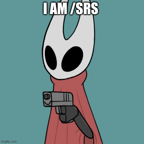 why am I so serious lmfao | I AM /SRS | image tagged in hornet delet this | made w/ Imgflip meme maker