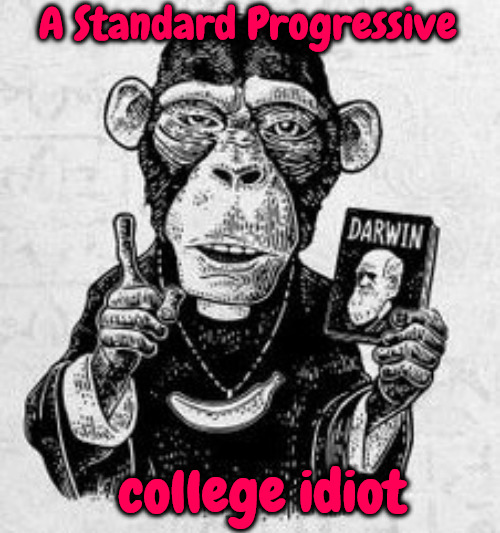 Standard Progressive | A Standard Progressive; college idiot | image tagged in idiots,progressives,brainwashed,college liberal,darwin,cultural marxism | made w/ Imgflip meme maker