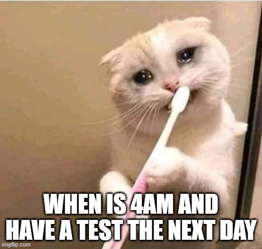 it always happens! | WHEN IS 4AM AND HAVE A TEST THE NEXT DAY | image tagged in cat,crying cat,relatable,relatable memes | made w/ Imgflip meme maker