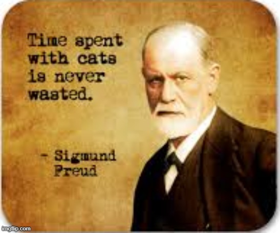 memes by Brad - Sigmund Freud on cats | image tagged in cats,funny,kittens,sigmund freud,famous quotes,humor | made w/ Imgflip meme maker