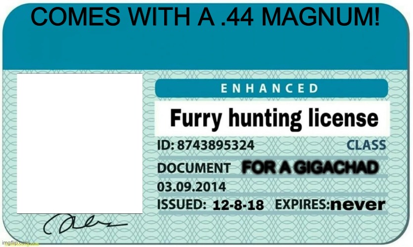 furry hunting license | COMES WITH A .44 MAGNUM! FOR A GIGACHAD | image tagged in furry hunting license | made w/ Imgflip meme maker