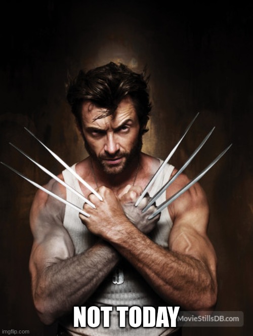 Wolverine | NOT TODAY | image tagged in wolverine | made w/ Imgflip meme maker