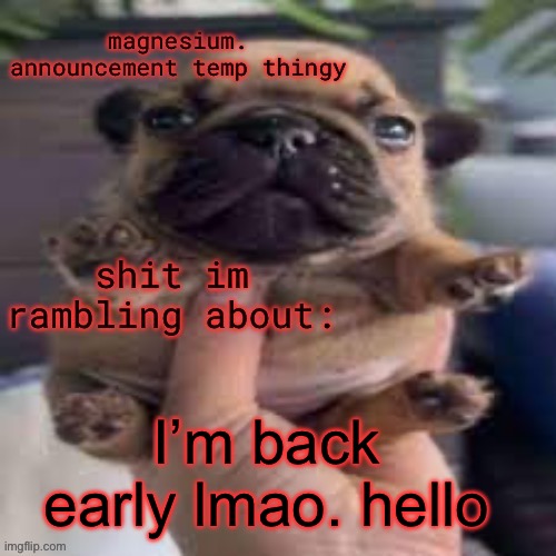 pug temp | I’m back early lmao. hello | image tagged in pug temp | made w/ Imgflip meme maker