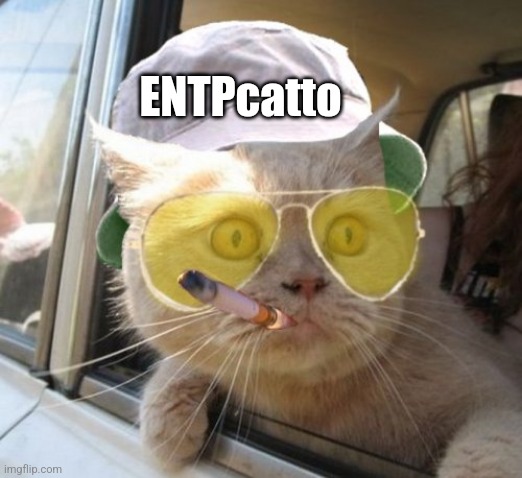 ENTP Cat | ENTPcatto | image tagged in memes,fear and loathing cat,entp,cat,mbti,myers briggs | made w/ Imgflip meme maker