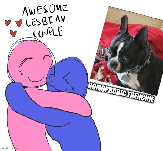 Awesome Lesbian Couple | HOMOPHOBIC FRENCHIE | image tagged in awesome lesbian couple | made w/ Imgflip meme maker