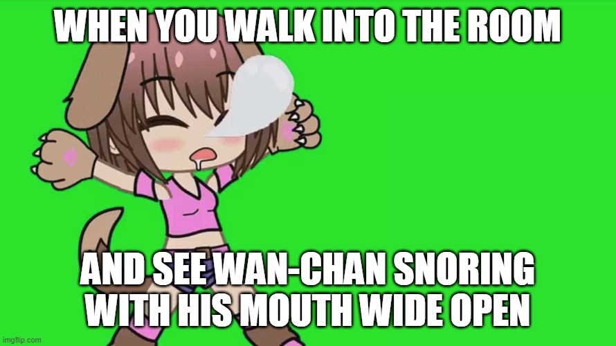 Wan-chan snoring | WHEN YOU WALK INTO THE ROOM; AND SEE WAN-CHAN SNORING WITH HIS MOUTH WIDE OPEN | image tagged in snoring | made w/ Imgflip meme maker