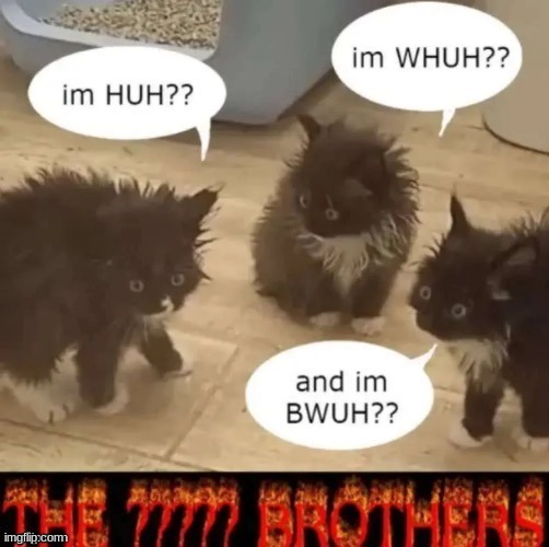 THE ????? BROTHERS OFFICIAL TEMPLATE AND FIRST MEME | image tagged in the brothers | made w/ Imgflip meme maker