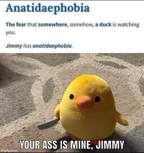 Poor jimmy | image tagged in ducks | made w/ Imgflip meme maker