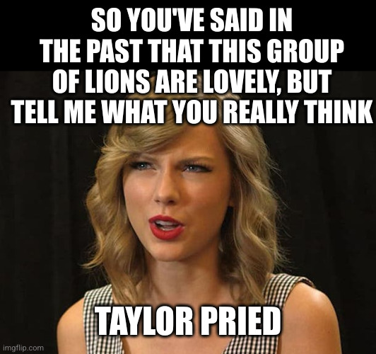 Taylor Swiftie | SO YOU'VE SAID IN THE PAST THAT THIS GROUP OF LIONS ARE LOVELY, BUT TELL ME WHAT YOU REALLY THINK TAYLOR PRIED | image tagged in taylor swiftie | made w/ Imgflip meme maker