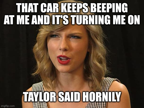 Taylor Swiftie | THAT CAR KEEPS BEEPING AT ME AND IT'S TURNING ME ON TAYLOR SAID HORNILY | image tagged in taylor swiftie | made w/ Imgflip meme maker