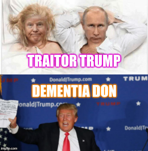 Traitor Trump Dementia Don | image tagged in traitor trump dementia don,demented donald,maga maniac,dump trump,trump for peison | made w/ Imgflip meme maker