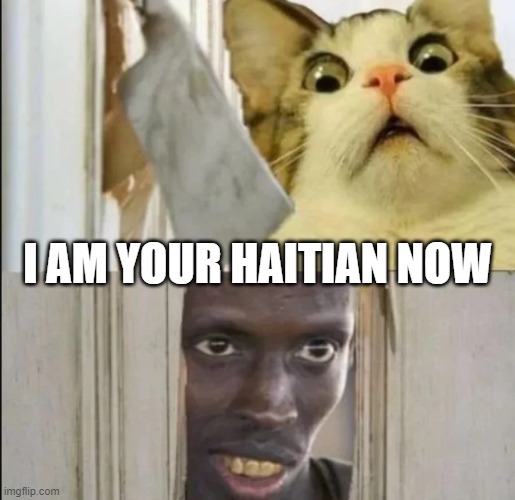 Look at me | I AM YOUR HAITIAN NOW | image tagged in i'm the captain now,haiti,cats,cat,maga,make america great again | made w/ Imgflip meme maker