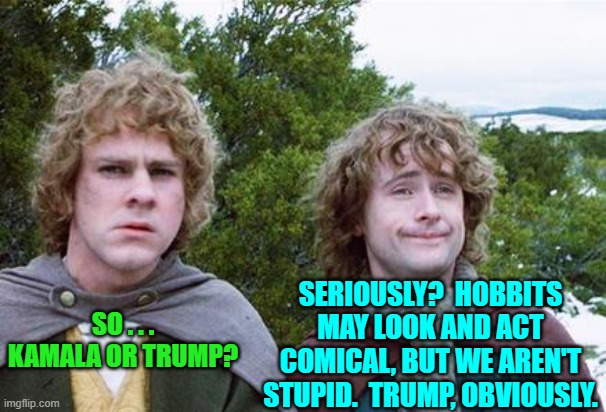 So in other words; don't vote Democrat . . . ever. | SERIOUSLY?  HOBBITS MAY LOOK AND ACT COMICAL, BUT WE AREN'T STUPID.  TRUMP, OBVIOUSLY. SO . . . KAMALA OR TRUMP? | image tagged in yep | made w/ Imgflip meme maker