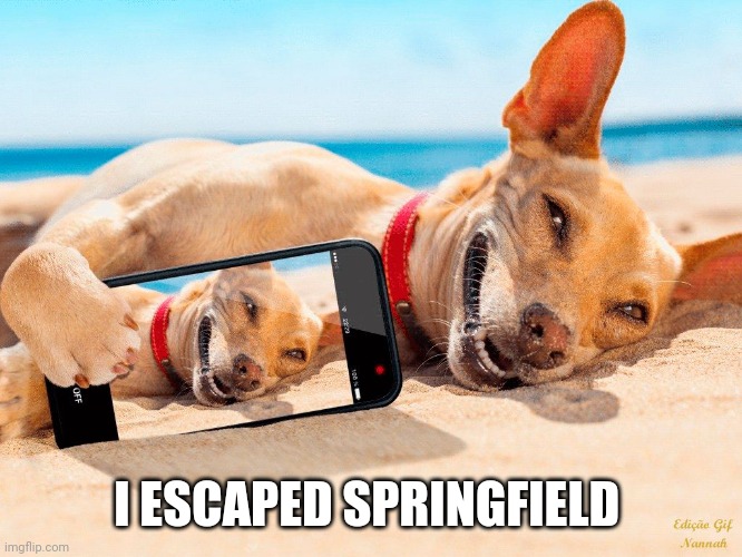 Memes, Beach, Lucky Dog, Vacation | I ESCAPED SPRINGFIELD | image tagged in memes beach lucky dog vacation | made w/ Imgflip meme maker