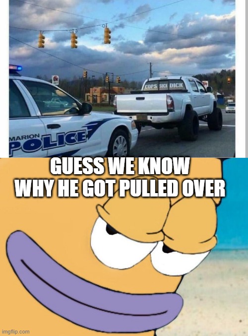 Pulled Over | GUESS WE KNOW WHY HE GOT PULLED OVER | image tagged in smirking fish | made w/ Imgflip meme maker