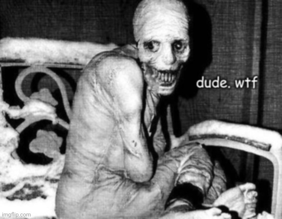 Dude. wtf | image tagged in dude wtf | made w/ Imgflip meme maker