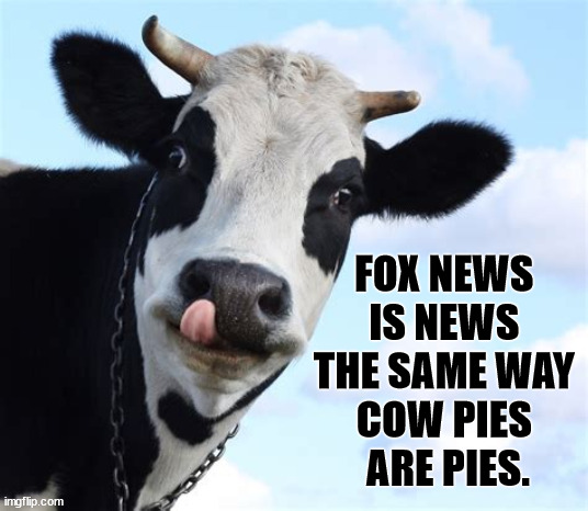 FOX NEWS 
IS NEWS 
THE SAME WAY 
COW PIES 
ARE PIES. | image tagged in fox news,news,cow,cow pies | made w/ Imgflip meme maker