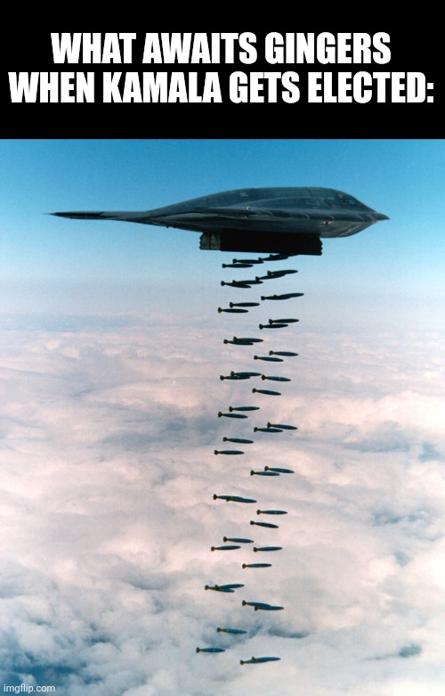 B2 bombing run | WHAT AWAITS GINGERS
WHEN KAMALA GETS ELECTED: | image tagged in b2 bombing run | made w/ Imgflip meme maker