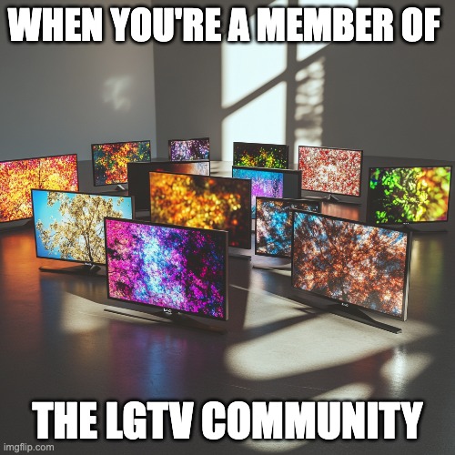 LGTV Community | WHEN YOU'RE A MEMBER OF; THE LGTV COMMUNITY | image tagged in lgbt,lgtv,tv | made w/ Imgflip meme maker