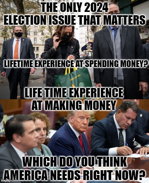 The Choice | THE ONLY 2024 ELECTION ISSUE THAT MATTERS; LIFETIME EXPERIENCE AT SPENDING MONEY? LIFE TIME EXPERIENCE AT MAKING MONEY; WHICH DO YOU THINK AMERICA NEEDS RIGHT NOW? | image tagged in trump,kamala,president,choice | made w/ Imgflip meme maker