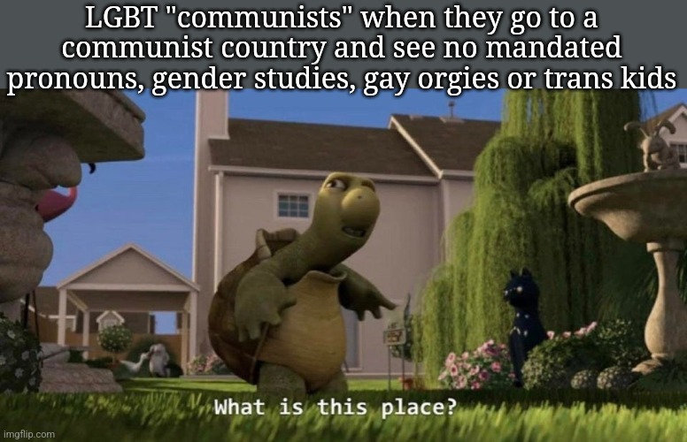 They'd be suprised | LGBT "communists" when they go to a communist country and see no mandated pronouns, gender studies, gay orgies or trans kids | image tagged in what is this place | made w/ Imgflip meme maker