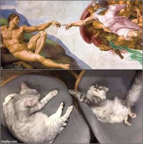 The Creation Of Cat | image tagged in cats,creation of adam | made w/ Imgflip meme maker