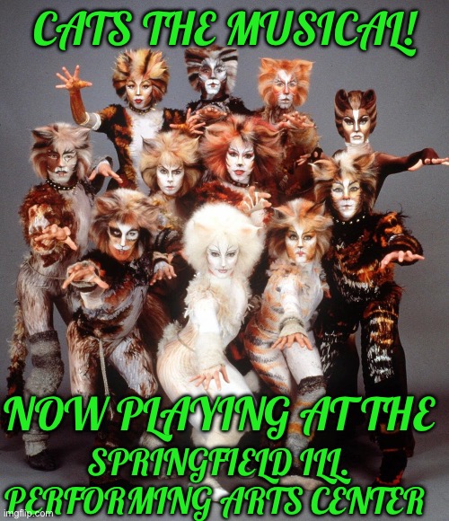 Yep | CATS THE MUSICAL! NOW PLAYING AT THE; SPRINGFIELD ILL. PERFORMING ARTS CENTER | image tagged in democrats | made w/ Imgflip meme maker