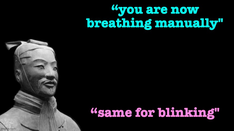 Sun Tzu | “you are now breathing manually"; “same for blinking" | image tagged in sun tzu | made w/ Imgflip meme maker