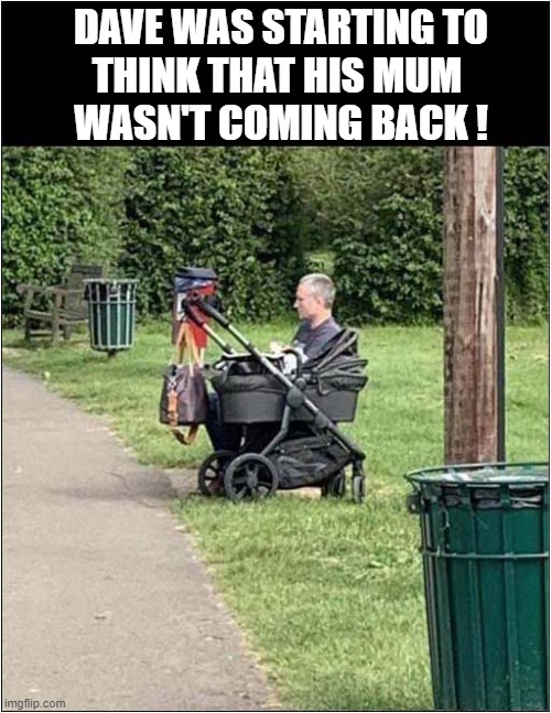 Wait ... Something's Not Right ! | DAVE WAS STARTING TO
THINK THAT HIS MUM 
WASN'T COMING BACK ! | image tagged in park,pram,abandoned,optical illusion | made w/ Imgflip meme maker