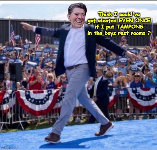 Probably more like committed to insane asylum | Think I could've got elected EVEN ONCE if I put TAMPONS in the boys rest rooms ? | image tagged in reagan elected tamons walz meme | made w/ Imgflip meme maker