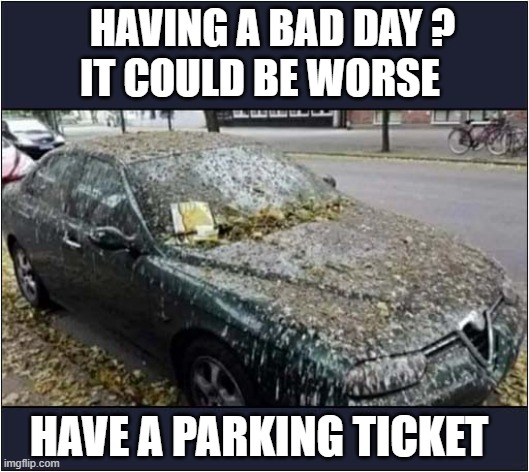 Birds Crapped All Over Your Car ? | HAVING A BAD DAY ?
IT COULD BE WORSE; HAVE A PARKING TICKET | image tagged in having a bad day,birds,car,parking ticket,dark humour | made w/ Imgflip meme maker