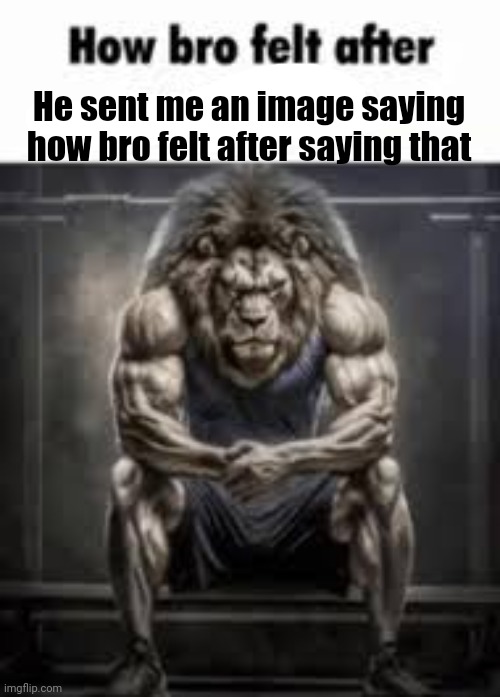 How bro felt after saying that | He sent me an image saying how bro felt after saying that | image tagged in how bro felt after saying that | made w/ Imgflip meme maker