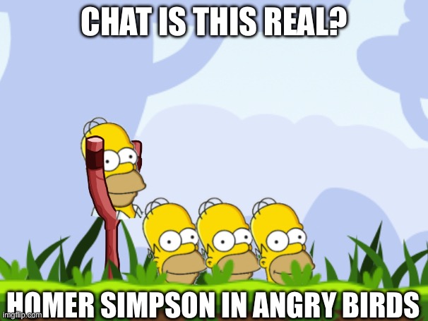 fact or fiction? | CHAT IS THIS REAL? HOMER SIMPSON IN ANGRY BIRDS | image tagged in homer simpson,angry birds | made w/ Imgflip meme maker