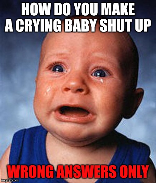 this gonna get wild... | HOW DO YOU MAKE A CRYING BABY SHUT UP; WRONG ANSWERS ONLY | image tagged in crying baby | made w/ Imgflip meme maker