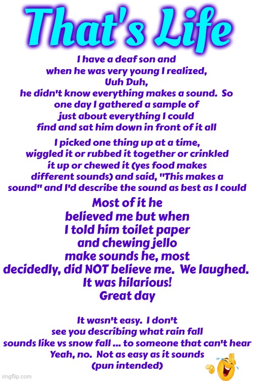 I Slammed Doors, Broke Plates, Threw Footballs, Bounced Basketballs, Hit Golf Balls And Banged Pots & Pans Too.  Aww Memories | That's Life; Most of it he believed me but when I told him toilet paper and chewing jello make sounds he, most decidedly, did NOT believe me.  We laughed. 
It was hilarious!
Great day; I have a deaf son and when he was very young I realized,
Uuh Duh,
he didn't know everything makes a sound.  So one day I gathered a sample of just about everything I could find and sat him down in front of it all; I picked one thing up at a time, wiggled it or rubbed it together or crinkled it up or chewed it (yes food makes different sounds) and said, "This makes a sound" and I'd describe the sound as best as I could; It wasn't easy.  I don't see you describing what rain fall sounds like vs snow fall ... to someone that can't hear
Yeah, no.  Not as easy as it sounds
(pun intended) | image tagged in memes,memories,deaf,deaf children are the greatest,great memories,happy days | made w/ Imgflip meme maker