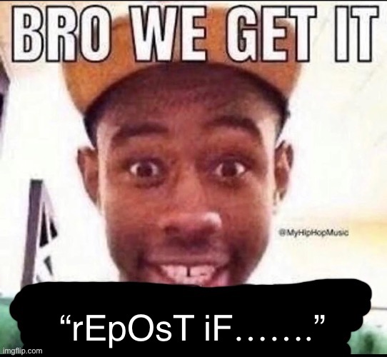 Bro we get it (blank) | “rEpOsT iF…….” | image tagged in bro we get it blank | made w/ Imgflip meme maker
