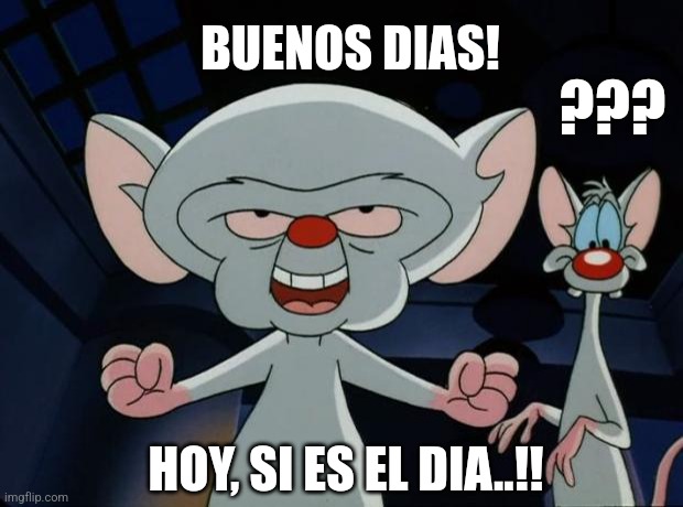 Buenos dias | BUENOS DIAS! ??? HOY, SI ES EL DIA..!! | image tagged in pinky and the brain | made w/ Imgflip meme maker